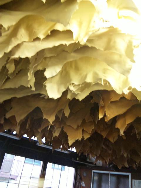 100217_1652271.jpg